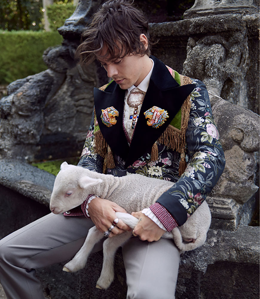 Harry Styles (ハリー・スタイルズ) が子ブタと共演！？Gucci (グッチ) 2019年クルーズ メンズ テーラリング