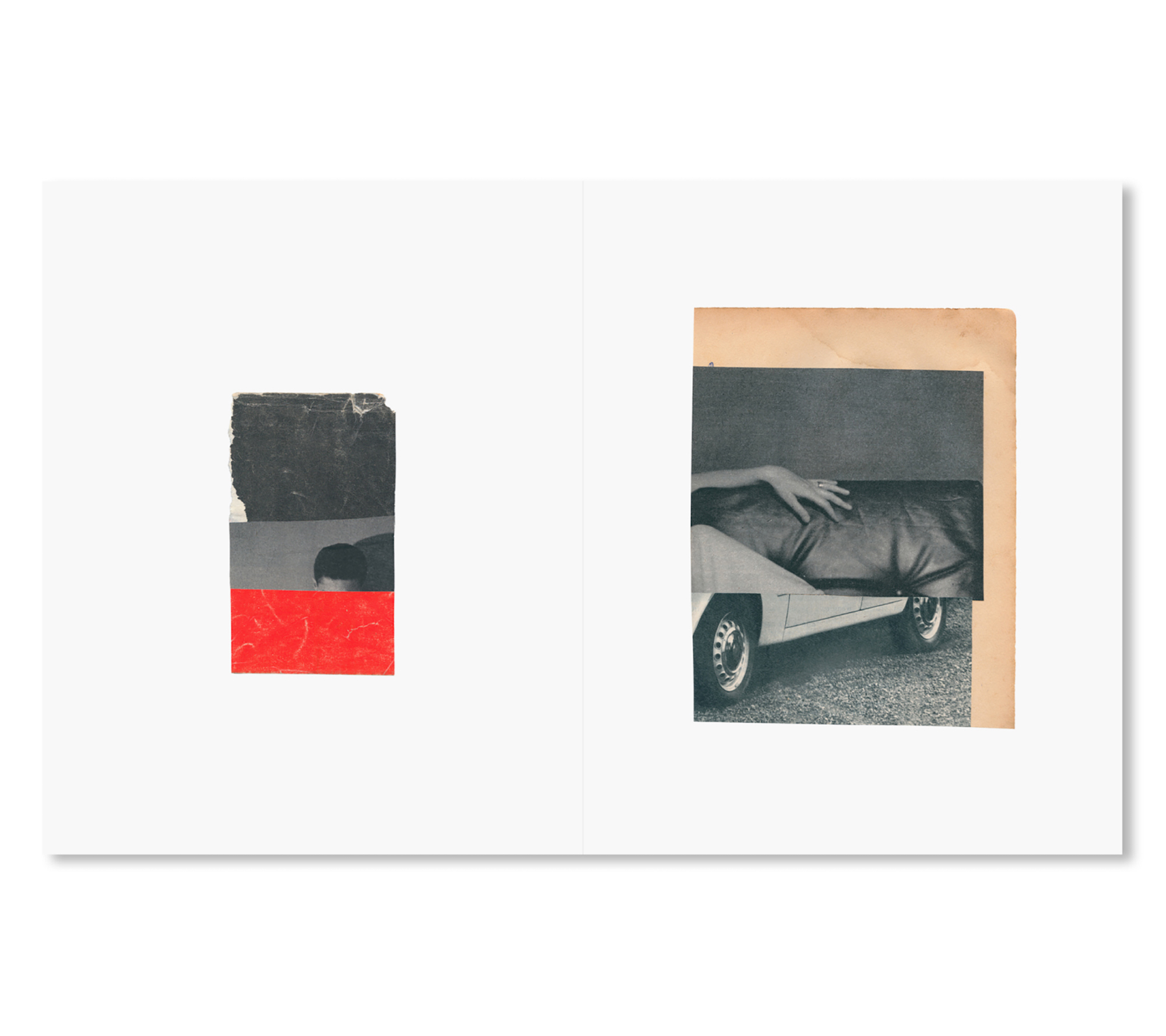 Katrien De Blauwer 「WHY I HATE CARS」
